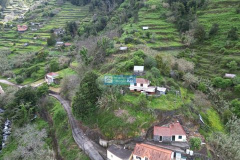 Villa i Ribeira Brava, Madeira, Ribeira Brava - € 130.000 | Ref: 1711 - foto 21