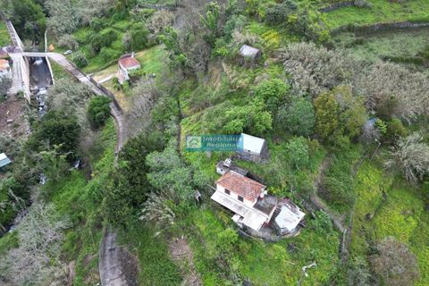 Villa i Ribeira Brava, Madeira, Ribeira Brava - € 130.000 | Ref: 1711 - foto 22