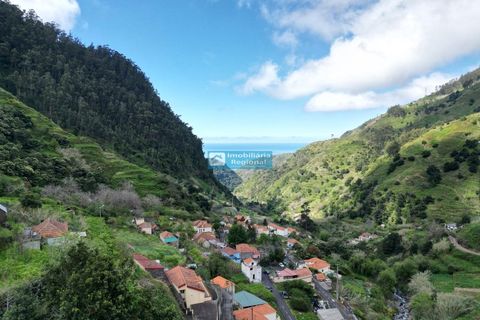 Villa i Ribeira Brava, Madeira, Ribeira Brava - € 130.000 | Ref: 1711 - foto 23