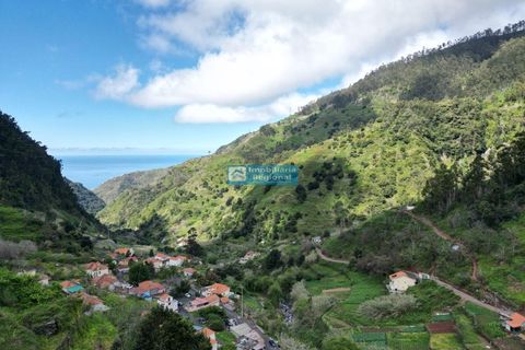 Villa i Ribeira Brava, Madeira, Ribeira Brava - € 130.000 | Ref: 1711 - foto 24