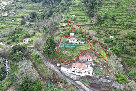 Villa i Ribeira Brava, Madeira, Ribeira Brava - € 130.000 | Ref: 1711 - foto 25