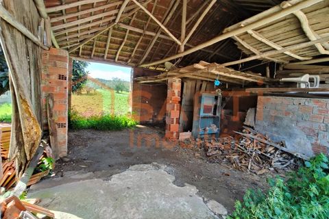 Villa a Ansiao, Leiria, Ansiao - € 89.000 | Ref: SAFTI:006619 - foto 6