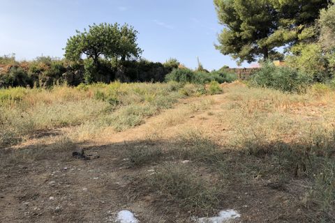 Terra a Marbella, Malaga, Marbella - € 2.000.000 | Ref: PANR-15503 - foto 4
