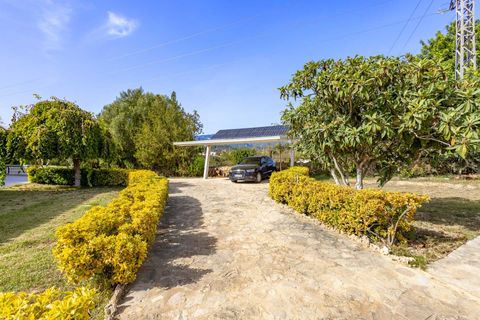 Villa a Inca, Mallorca, Inca - € 2.200.000 | Ref: 31 - foto 36