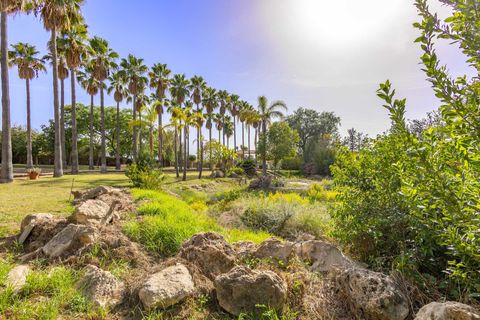 Villa a Inca, Mallorca, Inca - € 2.200.000 | Ref: 31 - foto 38