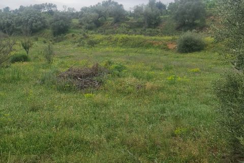 Finca i Mora D'ebre, Tarragona, Mora D'ebre - € 38.000 | Ref: Md2 - foto 13