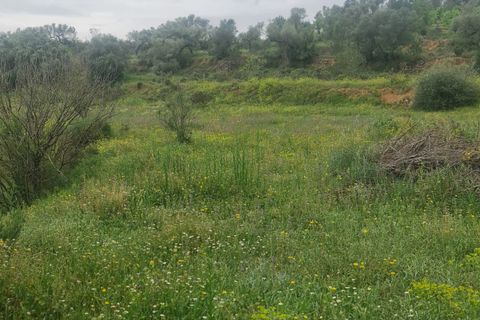 Finca i Mora D'ebre, Tarragona, Mora D'ebre - € 38.000 | Ref: Md2 - foto 10