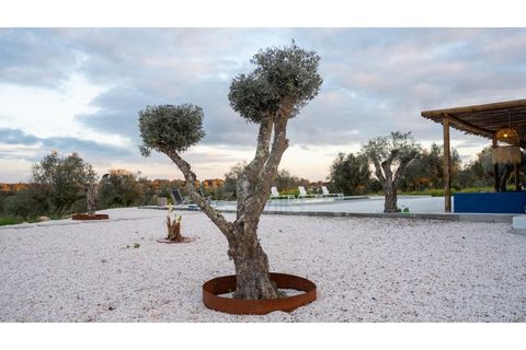 Landejendom i Mora, Evora, Mora - € 2.187.000 | Ref: SAVLBN15635 - foto 41