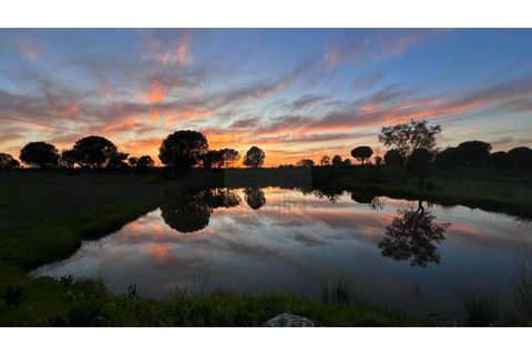 Landejendom i Mora, Evora, Mora - € 2.187.000 | Ref: SAVLBN15635 - foto 47