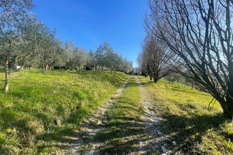 Villa i Lucca, Lucca, Lucca - € 1.000.000 | Ref: IA04009 - foto 14