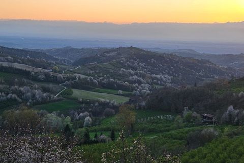 Villa a Serravalle Langhe, Cuneo, Serravalle Langhe - € 198.000 | Ref: D722.25 - foto 16