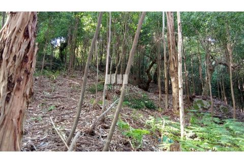 Villa i Caminha, Viana do Castelo, Caminha - € 395.000 | Ref: C02894 - foto 16