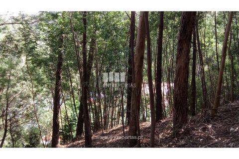Villa i Caminha, Viana do Castelo, Caminha - € 395.000 | Ref: C02894 - foto 17