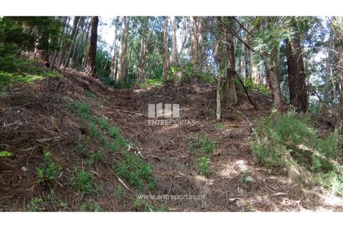 Villa i Caminha, Viana do Castelo, Caminha - € 395.000 | Ref: C02894 - foto 19