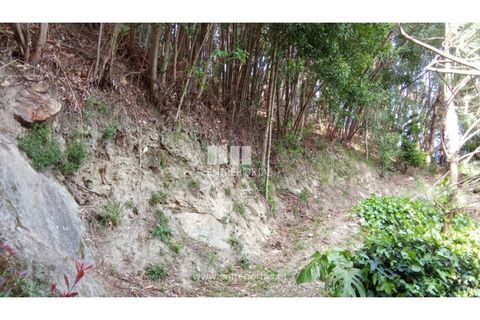 Villa i Caminha, Viana do Castelo, Caminha - € 395.000 | Ref: C02894 - foto 22