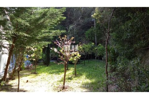 Villa i Caminha, Viana do Castelo, Caminha - € 395.000 | Ref: C02894 - foto 24
