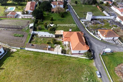 Byhus i Leiria, Leiria, Leiria - € 525.000 | Ref: flD2109 - foto 38