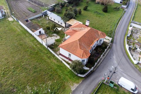 Byhus i Leiria, Leiria, Leiria - € 525.000 | Ref: flD2109 - foto 39