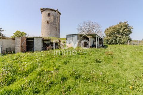 Villa a Monsegur, Gironde, Monsegur - € 139.900 | Ref: 4901050494 - foto 14