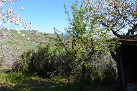 Landejendom i Castignano, Ascoli Piceno, Castignano - € 120.000 | Ref: Cas1111 - foto 1