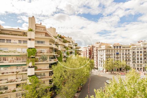 Penthouse i Madrid, Madrid, Madrid - € 1.150.000 | Ref: VM2504053 - foto 24