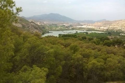 Byhus i Murcia, Murcia, Murcia - € 169.995 | Ref: 11-253/65955 - foto 25