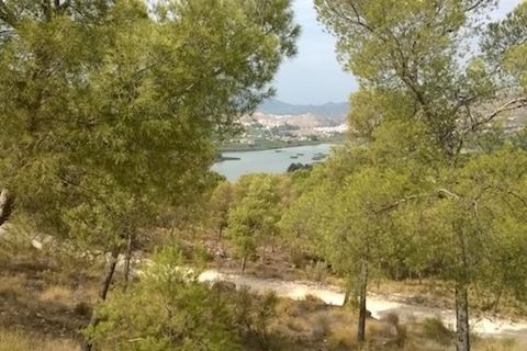 Byhus i Murcia, Murcia, Murcia - € 169.995 | Ref: 11-253/65955 - foto 26