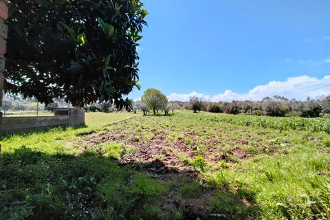 Villa i Ansiao, Leiria, Ansiao - € 89.000 | Ref: SF-SAFTI:006619 - foto 9