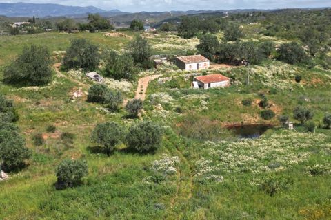 Helårsgrund i Lagoa, Faro, Lagoa - € 462.000 | Ref: SF-SAFTI:006603 - foto 10