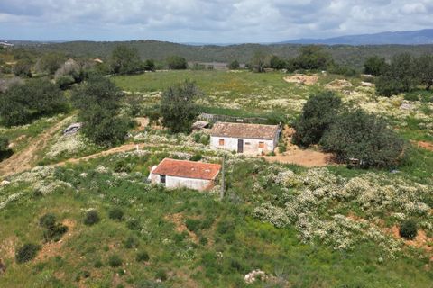 Helårsgrund i Lagoa, Faro, Lagoa - € 462.000 | Ref: SF-SAFTI:006603 - foto 11
