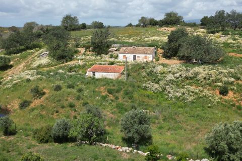Helårsgrund i Lagoa, Faro, Lagoa - € 462.000 | Ref: SF-SAFTI:006603 - foto 4