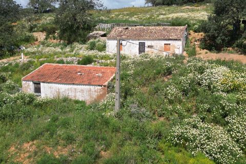 Helårsgrund i Lagoa, Faro, Lagoa - € 462.000 | Ref: SF-SAFTI:006603 - foto 6