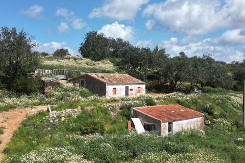Helårsgrund i Lagoa, Faro, Lagoa - € 462.000 | Ref: SF-SAFTI:006603 - foto 5