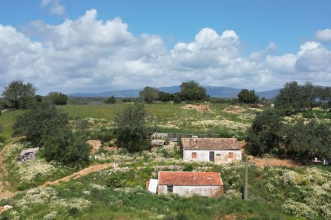 Helårsgrund i Lagoa, Faro, Lagoa - € 462.000 | Ref: SF-SAFTI:006603 - foto 7