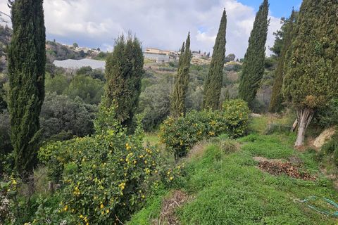 Terreno en Nice, Alpes-Maritimes, Nice - € 283.000 | Ref: 85842462 - photo 2