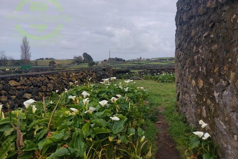 Terra a Biscoitos, Terceira, Biscoitos - € 51.400 | Ref: TER_1412 - foto 8