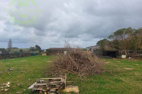 Terra a Biscoitos, Terceira, Biscoitos - € 51.400 | Ref: TER_1412 - foto 9