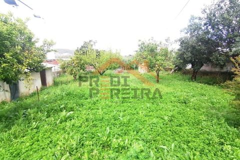 Villa i Loures, Lisbon, Loures - € 980.000 | Ref: PP5543 - foto 2