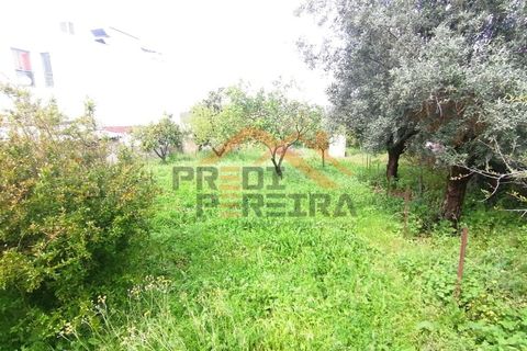 Villa i Loures, Lisbon, Loures - € 980.000 | Ref: PP5543 - foto 29