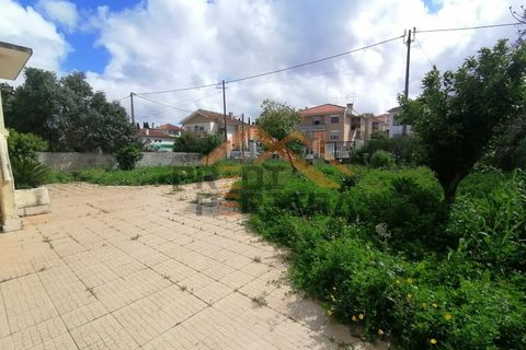 Villa i Loures, Lisbon, Loures - € 980.000 | Ref: PP5543 - foto 30