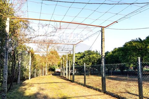 Farm i Amares, Braga, Amares - € 1.450.000 | Ref: 1074-107 - foto 25