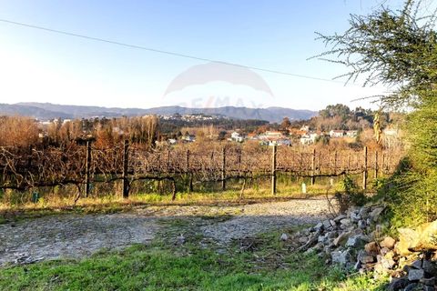 Farm i Amares, Braga, Amares - € 1.450.000 | Ref: 1074-107 - foto 26