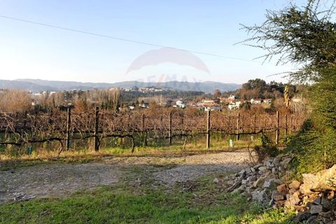 Farm i Amares, Braga, Amares - € 1.450.000 | Ref: 1074-107 - foto 27