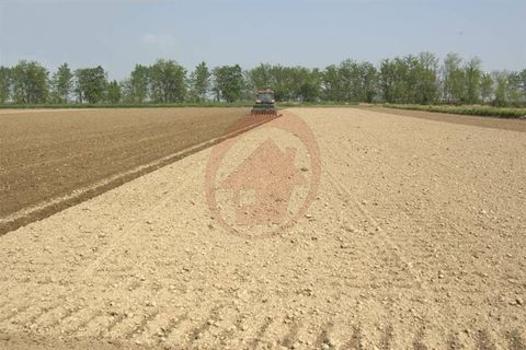 Terra a Vigonza, Padua, Vigonza - € 230.000 | Ref: T19 - foto 4