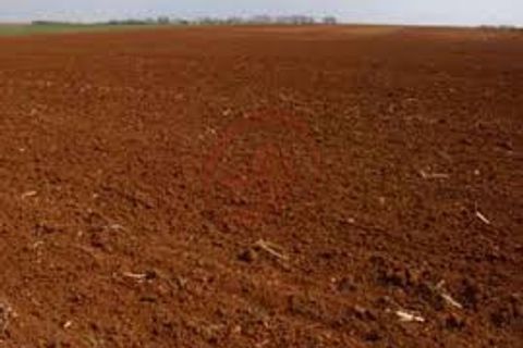Terra a Vigonza, Padua, Vigonza - € 230.000 | Ref: T19 - foto 5