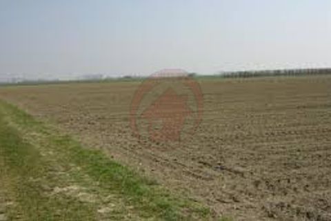 Terra a Vigonza, Padua, Vigonza - € 230.000 | Ref: T19 - foto 7