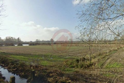 Terra a Vigonza, Padua, Vigonza - € 230.000 | Ref: T19 - foto 10