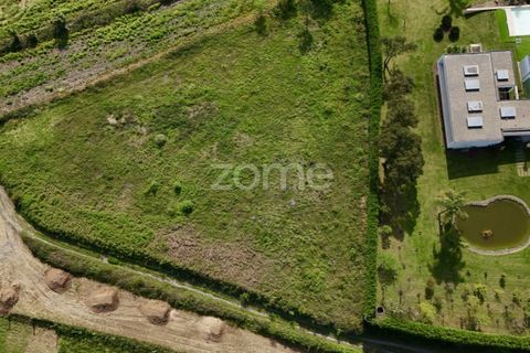 Helårsgrund i Ribeirao, Braga, Ribeirao - € 102.000 | Ref: ZMPT575559 - foto 5