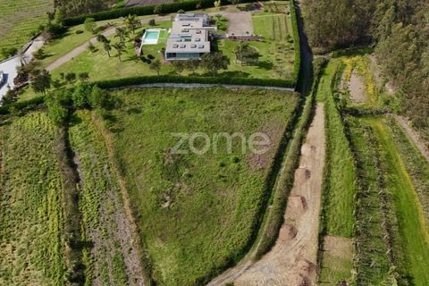 Helårsgrund i Ribeirao, Braga, Ribeirao - € 102.000 | Ref: ZMPT575559 - foto 12