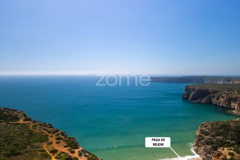 Helårsgrund i Sagres, Faro, Sagres - € 50.000 | Ref: ZMPT576251 - foto 9
